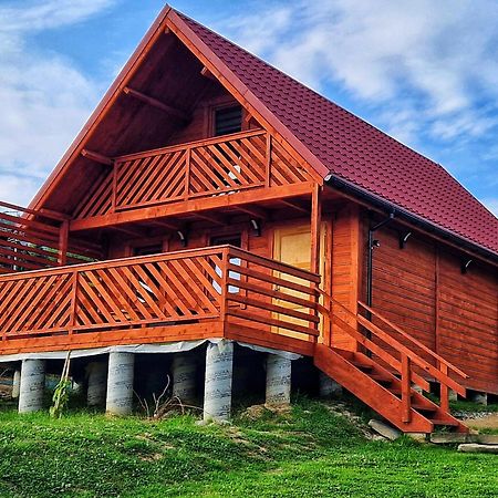 Noclegi Daglezja Pod Gora Zar Мендзыбродзе-Живецке Экстерьер фото